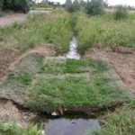 Elevated BioSwales: using floating island technology to treat runoff in streams and ditches