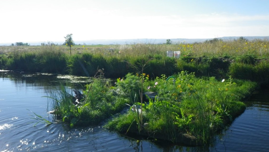 a BioHaven floating streambed
