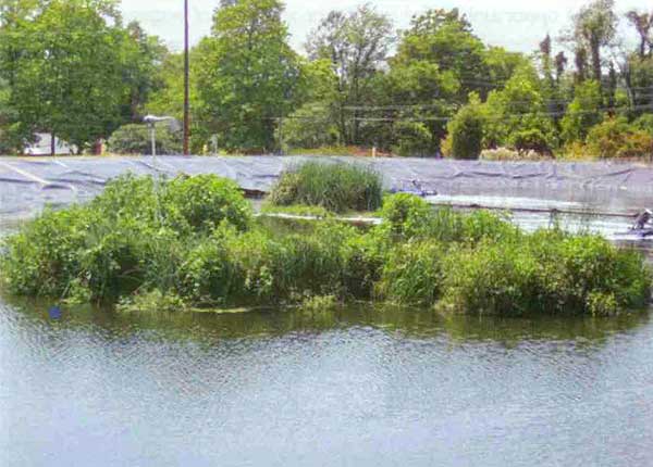 Wiconisco water treatment facility