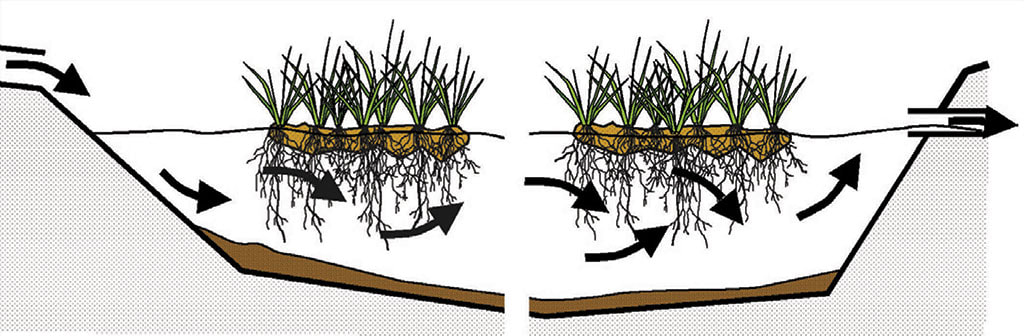 Schematic longitudinal cross-section through a typical Floating Treatment Wetland system