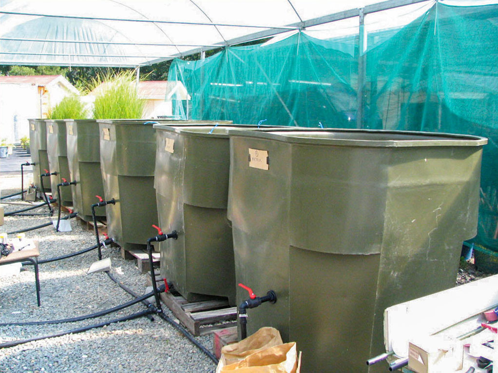 Six of the 12 mesocosm tanks used in the batch experiments 