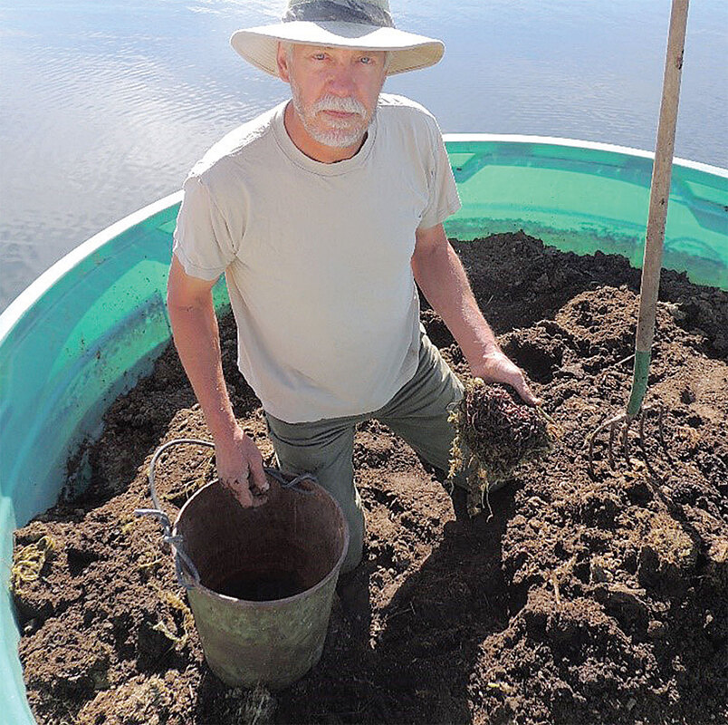 Using the harvested water plants as fodder for worms