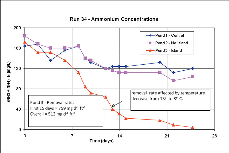 Run 34 – Ammonium Concentrations