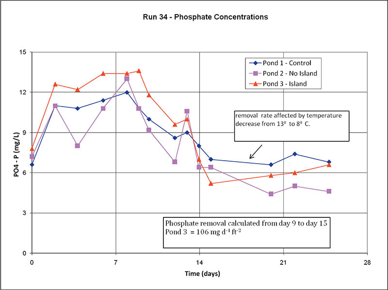 Run 34 – Phosphate Concentrations