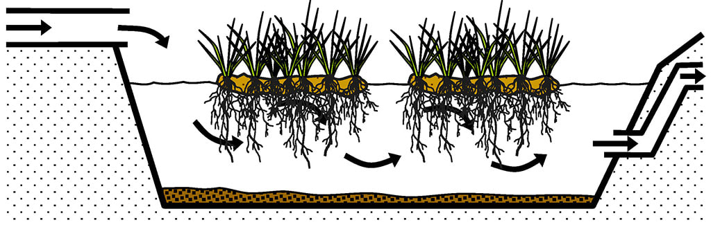 Schematic longitudinal cross-sections of a typical floating treatment wetland