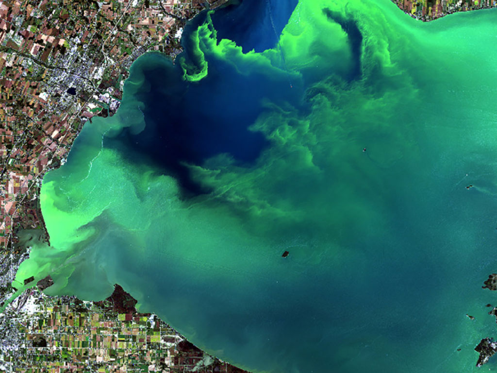 The Climate Change – Harmful Algae Bloom Link