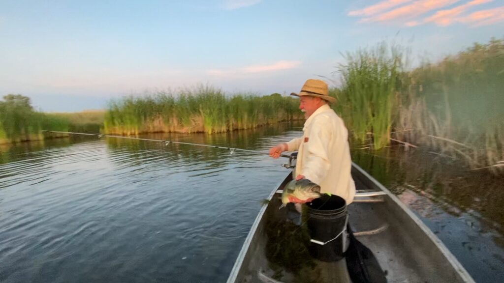 The results of our water quality program at Floating Island International is great fishing!