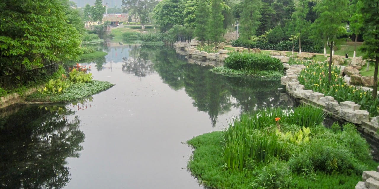 BioHavens beautify waterways in China and clean water