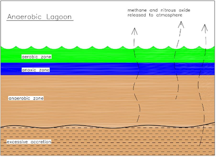 diagram of anaerobic lagoon