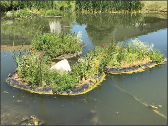 BioHavens effectively removed algae from Holly Pond