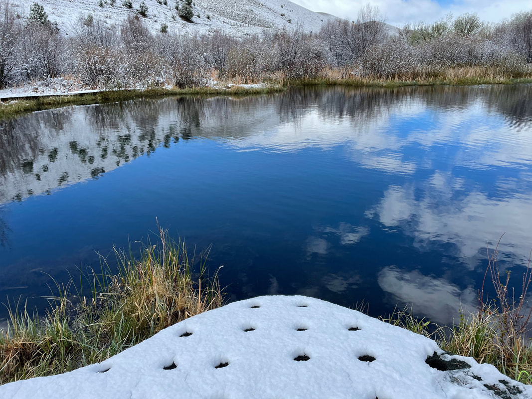 A beautiful scene of a snow-cobvered floating island waiting to be planted and launched into a trout pond near Ennis, Montana