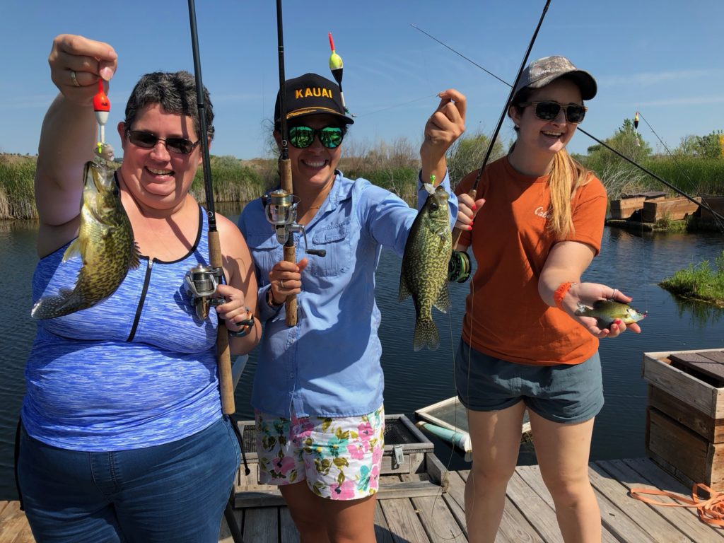 Catching perch in Fish Fry Lake