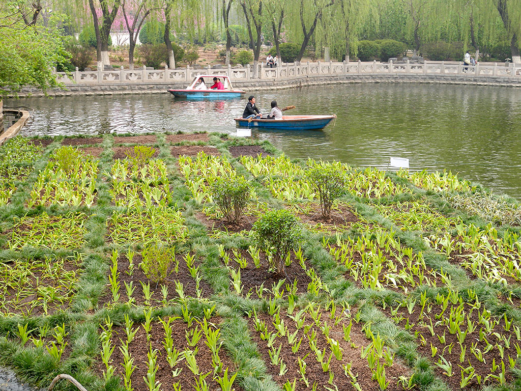 BioHavens fix eutrophic water in China