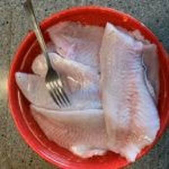 Healthy fresh fillets of fish are one benefit of healthy water.