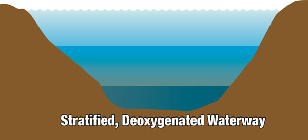 Stratified water is devoid of oxygen at lower levels