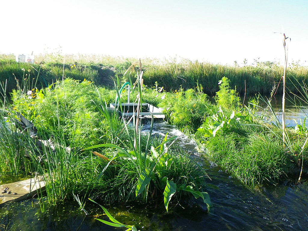 This BioHaven Floating StreamBed will trap microplastics instead of letting them move through our streams and rivers where they are harmful to wildlife